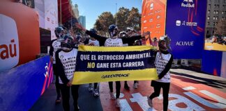 Pingüinos de Humboldt se roban las miradas en la Maratón de Santiago