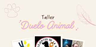 Excelente iniciativa:Lanzan taller sobre duelo animal en formato online, a beneficio de los animales de la tercera edad rescatados
