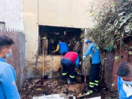 Rescatan a 35 animales de compañia, que vivían bajo paupérrimas condiciones, en Viña del Mar