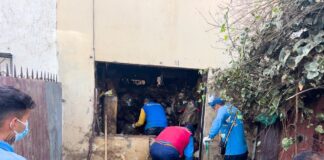 Rescatan a 35 animales de compañia, que vivían bajo paupérrimas condiciones, en Viña del Mar