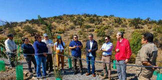Seremi Medio Ambiente RM visita programas de compensación de emisiones en Parque Cordillera
