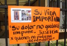 Por maltrato animal fueron condenados sujetos que hacían desaparecer gatos y usarlos como carnada en la villa El Encuentro de Los Andes