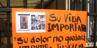 Por maltrato animal fueron condenados sujetos que hacían desaparecer gatos y usarlos como carnada en la villa El Encuentro de Los Andes