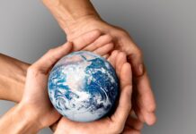 Mes del Medio Ambiente: ¿Y si la acción climática comenzara en nuestras decisiones diarias?