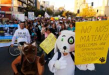 Preocupante: Presentan nuevo proyecto de ley que busca permitir la matanza de cualquier animal, por razones de seguridad o protección de la fauna silvestre