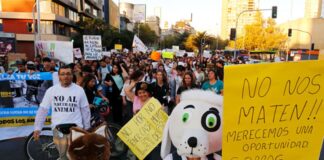 Preocupante: Presentan nuevo proyecto de ley que busca permitir la matanza de cualquier animal, por razones de seguridad o protección de la fauna silvestre