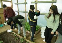 De Litueche a Londres: investigación escolar sobre jalea real lleva a estudiantes de O’Higgins a una final mundial de ciencias