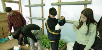 De Litueche a Londres: investigación escolar sobre jalea real lleva a estudiantes de O’Higgins a una final mundial de ciencias