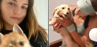 Acreditan a siete perros acreditados para apoyo emocional en el campeonato de Roland Garros