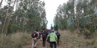 Mes del Patrimonio congregó a miles de personas en torno a la ciencia, la memoria y la naturaleza en la Península de Hualpén