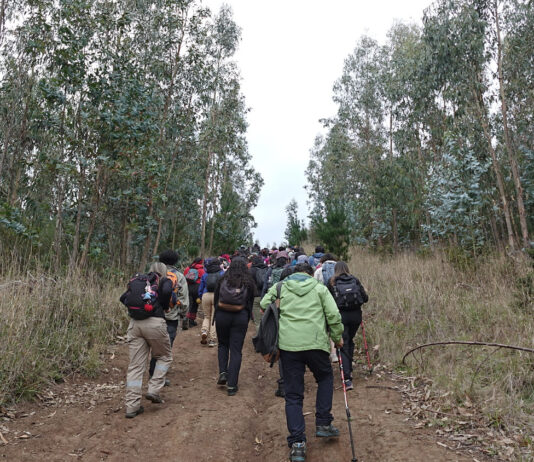 Mes del Patrimonio congregó a miles de personas en torno a la ciencia, la memoria y la naturaleza en la Península de Hualpén