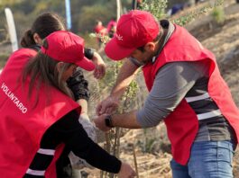 Inician segunda etapa del programa de reforestación del futuro parque El Rosal en Huechuraba