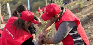 Inician segunda etapa del programa de reforestación del futuro parque El Rosal en Huechuraba