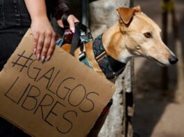 Editorial: ¿En qué momento dejamos de sentir?
