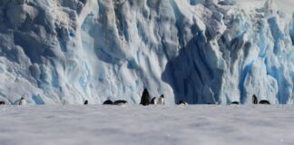Científicos rastrean contaminantes invisibles en la Antártica