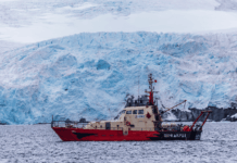 El “albatros” de la ciencia sigue su vuelo: lancha Karpuj culmina exitosa y extensa campaña antártica