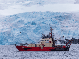 El “albatros” de la ciencia sigue su vuelo: lancha Karpuj culmina exitosa y extensa campaña antártica