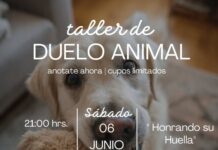 ¡Últimos días para inscribirse en taller de duelo animal, en beneficio de los animales rescatados de la Fundación Callejeritos de La Vega¡