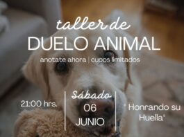 ¡Últimos días para inscribirse en taller de duelo animal, en beneficio de los animales rescatados de la Fundación Callejeritos de La Vega¡