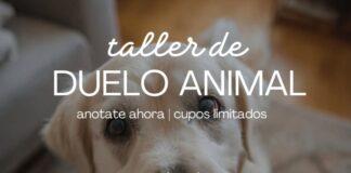 ¡Últimos días para inscribirse en taller de duelo animal, en beneficio de los animales rescatados de la Fundación Callejeritos de La Vega¡