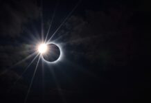 Así reaccionan los animales ante un eclipse solar total en pleno día