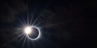 Así reaccionan los animales ante un eclipse solar total en pleno día