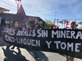 Convocan a movilización ciudadana de Penco Lirquén contra proyecto minero de Tierras raras