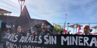 Convocan a movilización ciudadana de Penco Lirquén contra proyecto minero de Tierras raras