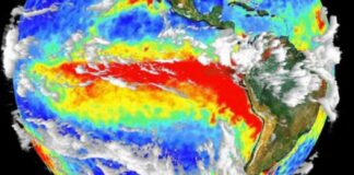 El Niño 2026: Expertos analizan sus posibles impactos en los ecosistemas marinos y la acuicultura chilena