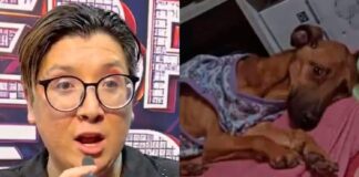 Presentan querella contra conocido influencer y panelista de la TV por el delito de maltrato animal