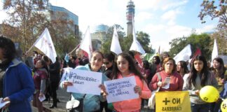 Congreso Nacional: Este miércoles, la Cámara de Diputados podría votar el proyecto de ley que busca prohibir las carreras de perros galgos