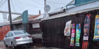 Talcahuano: Perro muere electrocutado por cable energizado, en medio del temporal que afecta a nuestro país