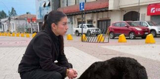 Todos contamos: Realizarán nueva recogida solidaria a favor de la ruta calle que día a día realiza la organización Adepa Proanimal Quillota