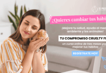 Programa gratuito invita a jóvenes a transformar sus hábitos de consumo cosmético, alimenticio y de moda