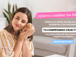 Programa gratuito invita a jóvenes a transformar sus hábitos de consumo cosmético, alimenticio y de moda
