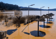 Estudio: Presentan Índice de Resiliencia Comunal con indicadores sobre sus capacidades frente a emergencias