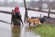 Porque ellos también cuentan: Organizaciones por los animales piden apoyo para afrontar la emergencia climática que está afectando a nuestro país
