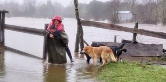 Porque ellos también cuentan: Organizaciones por los animales piden apoyo para afrontar la emergencia climática que está afectando a nuestro país
