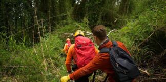 Chile conmemora el Día Internacional del Defensor Ambiental con unaumento del 148% en las agresiones contra quienes defienden lanaturaleza