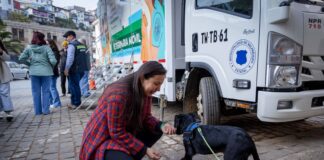Buenas noticias: Habilitan refugio temporal para animales comunitarios durante el sistema frontal en Valparaíso