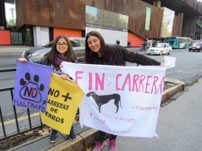 carreras-de-galgos-nota-1-696x522 (1) (2)