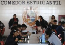 Histórico: Justicia peruana ordena a Universidad Nacional de San Marcos a disponer en sus casinos un menú vegano