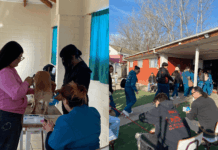 Buenas noticias: Realizan exitoso operativo de vacunación y desparasitación gratuito en la Villa Lomas de Mirasur en San Bernardo
