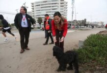 Buena iniciativa: Resguardarán a perros abandonados que viven en el sector costero de La Serena, durante el temporal que afectará a la zona central