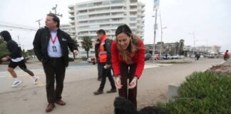 Buena iniciativa: Resguardarán a perros abandonados que viven en el sector costero de La Serena, durante el temporal que afectará a la zona central