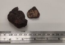 Día Internacional de los Asteroides: especialistas destacan la necesidad de proteger los meteoritos encontrados en Chile