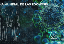 Día Mundial de las Zoonosis: la salud de las personas comienza con la salud de los animales, señala Colmevet