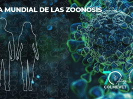 Día Mundial de las Zoonosis: la salud de las personas comienza con la salud de los animales, señala Colmevet