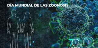Día Mundial de las Zoonosis: la salud de las personas comienza con la salud de los animales, señala Colmevet