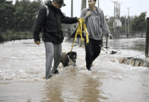 Sistema frontal: Colmevet recuerda considerar a la dimensión animal ante la emergencia preventiva en 10 regiones del país